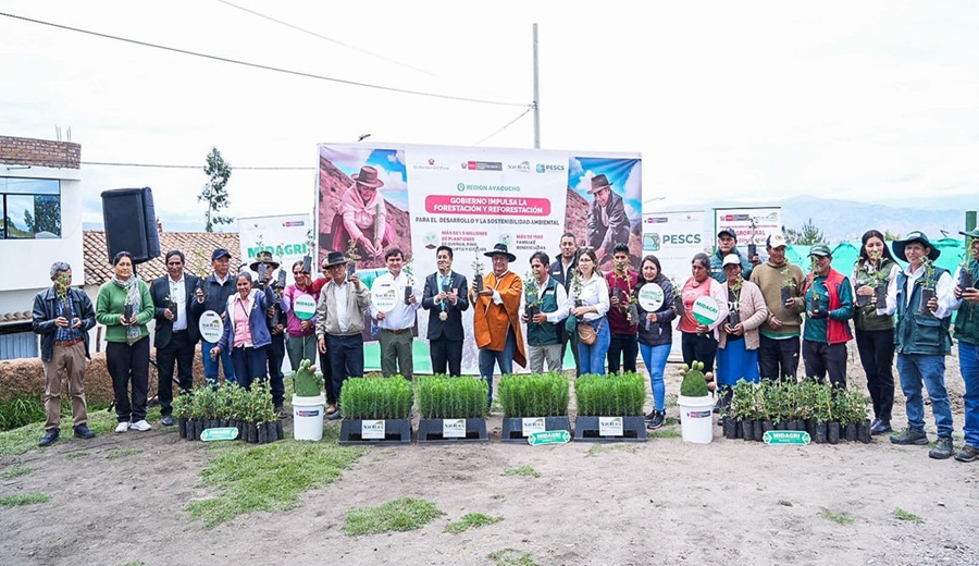Ayacucho MIDAGRI fortalece el desarrollo forestal con la entrega de 1500 plantones en distrito de Quinua