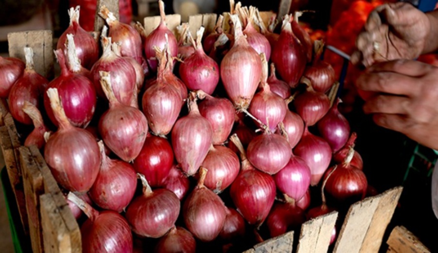 Crece suministro de frutas, hortalizas y pollo en los mercados mayoristas por las fiestas de Año Nuevo