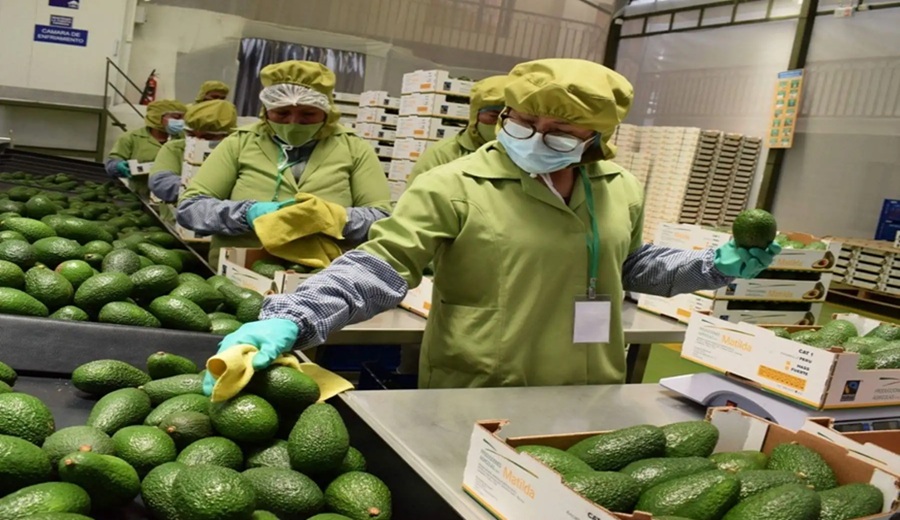 Empleos directos asociados a las exportaciones crecieron 1.8%