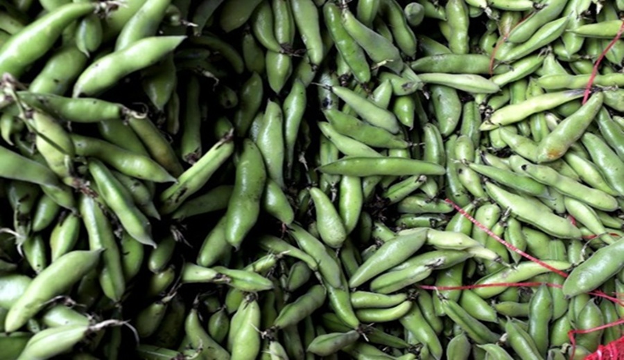 En los mercados mayoristas ofrecieron ofertas de arveja, haba, papa, plátano, palta, melón y otros