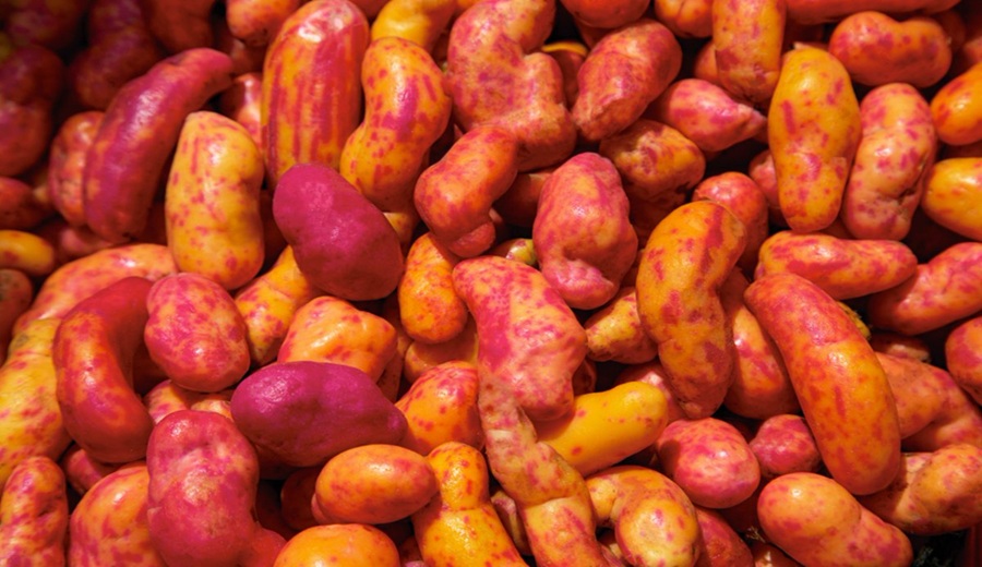 En los mercados mayoristas tuvierón ofertas de frijol, papa, olluco, manzana, melón, piña y otros