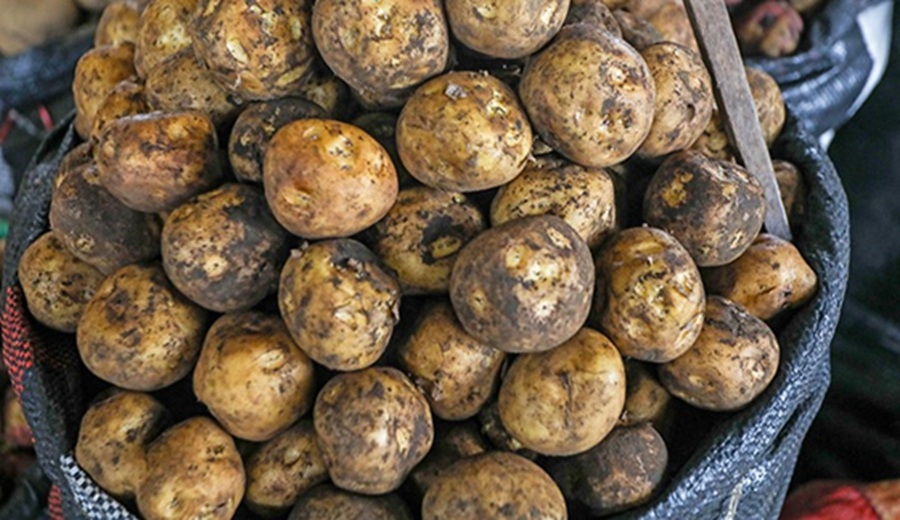 En los mercados mayoristas tuvierón ofertas de papa, olluco, yuca, palta, uva, papaya y otros