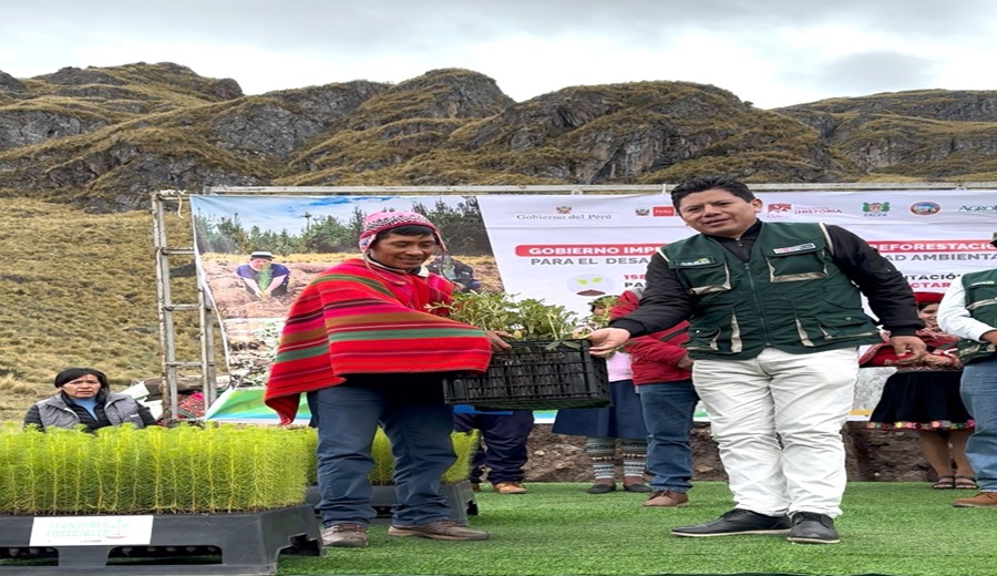 Gobierno inicia plantaciones forestales en el marco de la campaña 2025 – 2026