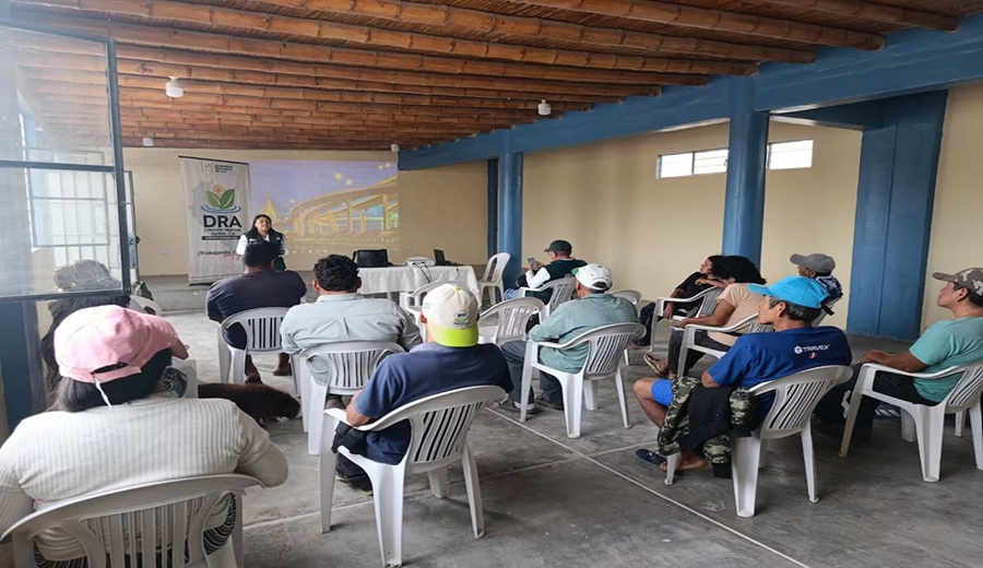 Ica Capacitan a pequeños y medianos productores para fortalecer la agricultura local