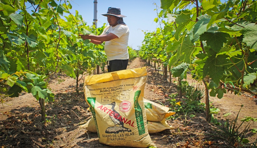 MIDAGRI AGRO RURAL entregó más de 20 mil toneladas de guano de las islas a la agricultura familiar en 2025