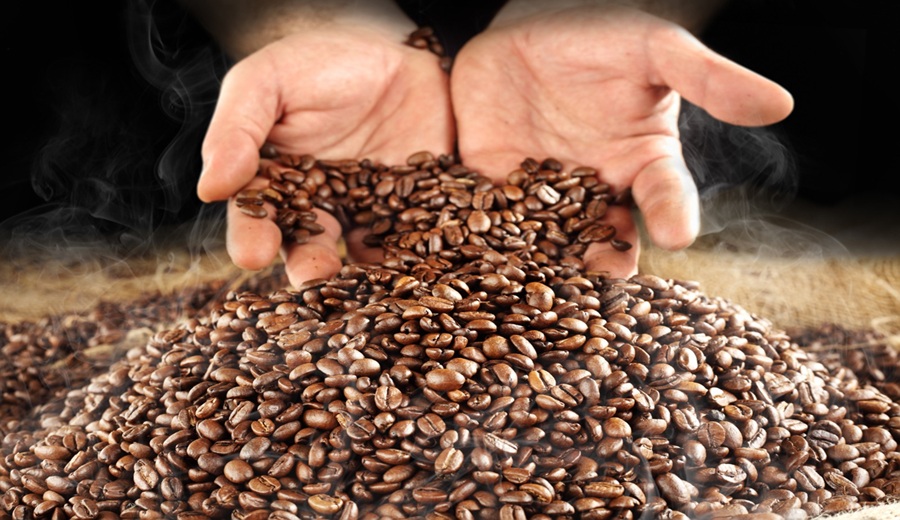 MIDAGRI: pequeños productores siguen consolidando las exportaciones de café