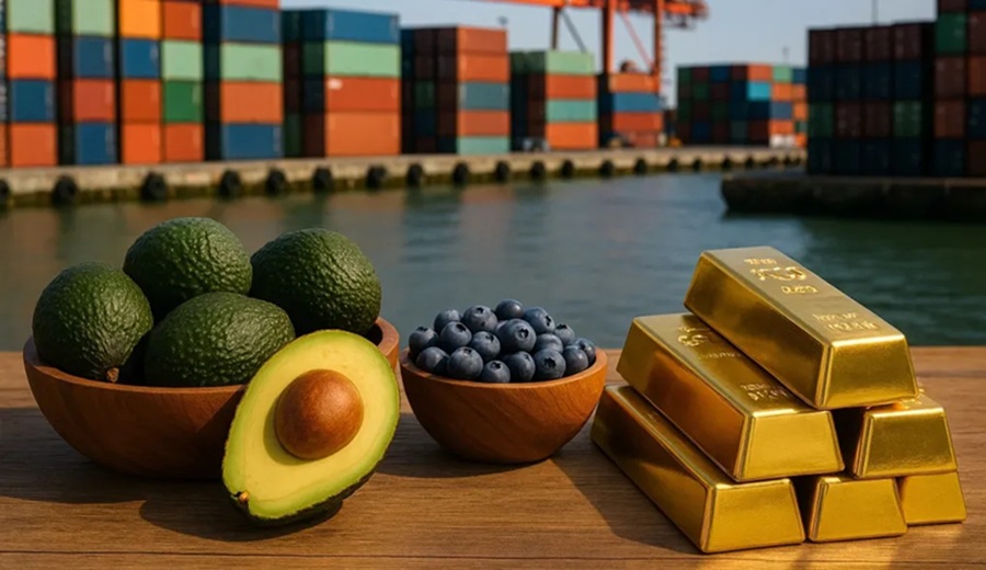 Paltas, arándanos y oro las exportaciones que ponen al Perú en el ojo global