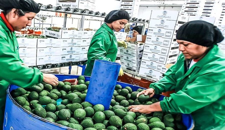 Perú alcanzaría nuevo récord con envíos por US$ 85,000 millones