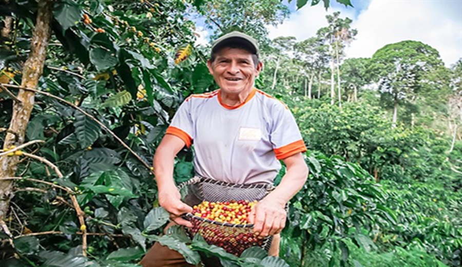 Avanzar Rural promovió 102 Fondos Revolventes