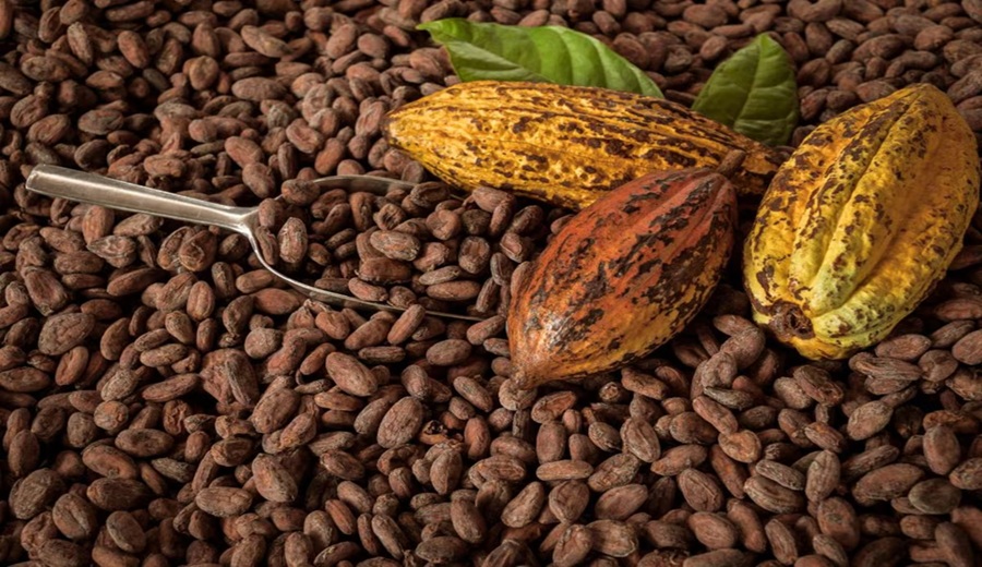 Cacao estrena 2026 a US$ 5,800 por tonelada, casi la mitad del precio de hace un año