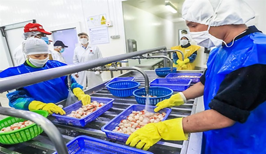 El Perú consolida acceso a mercados exigentes