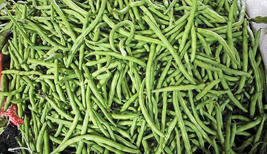 En los mercados mayoristas ofrecieron ofertas de camote, vainita, papa, plátano, palta, tuna y otros