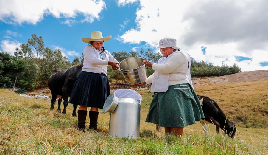 Gobierno impulsó formalización de más de 30,000 predios rurales en 10 regiones en 2025