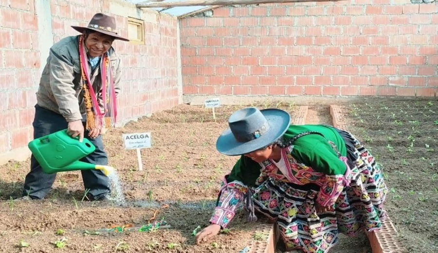 Gobierno tiene activo el Seguro Agrícola 2025-2026 ante eventos climáticos en el país