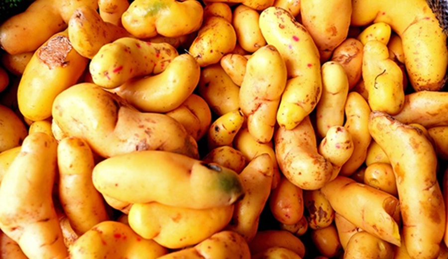 Los mercados mayoristas abastecidos con más de 10 mil toneladas de alimentos al alcance del consumidor