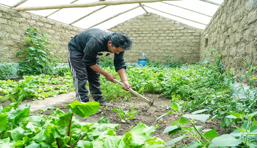 MIDAGRI Fitotoldos y pastos cultivados impulsan el sector agrario en Huancavelica