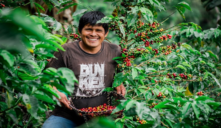 modern office lobby hall interior