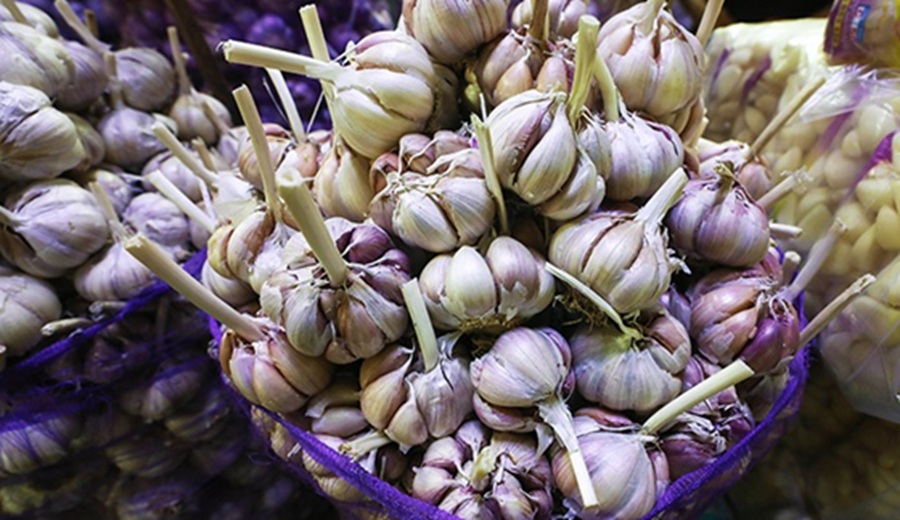 Mercados mayoristas de frutas y hortalizas abastecidos