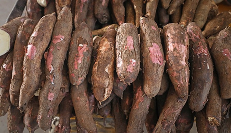 Mercados mayoristas de frutas y hortalizas abastecidos