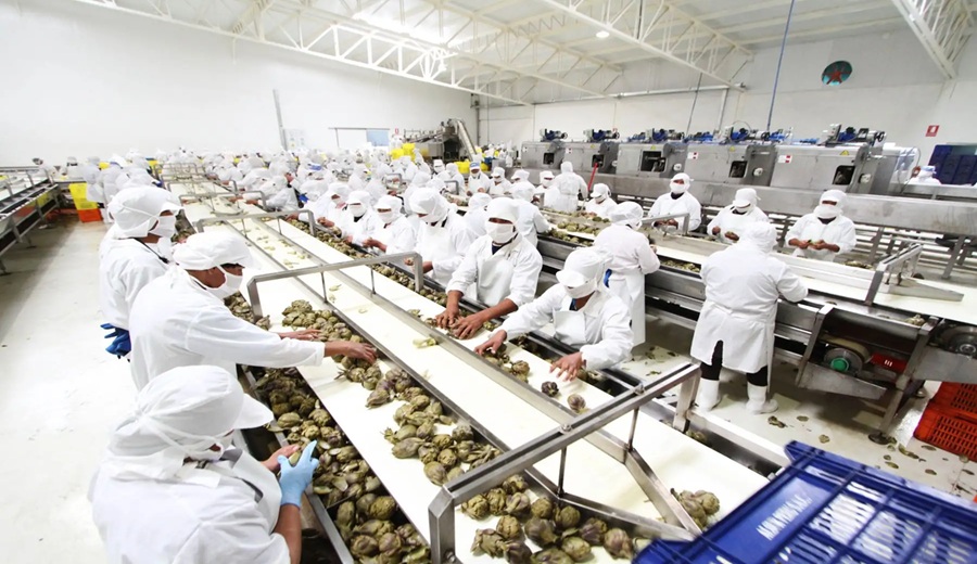 Ministerio de la Producción destinará 2.7 millones de soles al desarrollo productivo de Ica