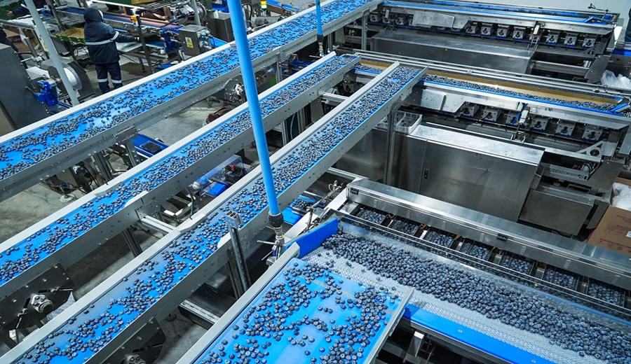 Perú, potencia agroexportadora MIDAGRI buscará concretar 16 nuevos accesos en el 2026