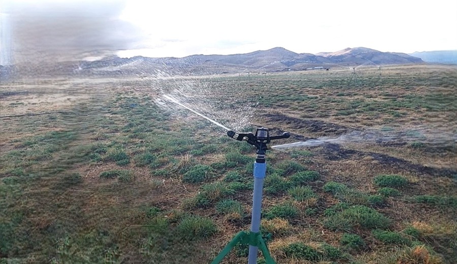 Agencia de Cooperación de Israel impulsa agricultura de precisión en Perú