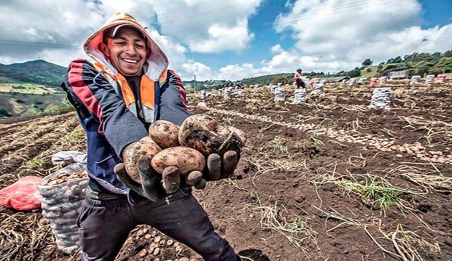 Anticiparse es proteger