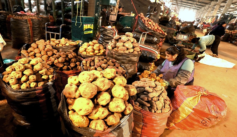 En los mercados mayoristas ofrecieron zapallo, papa, cebolla, melón, piña, plátano y otros