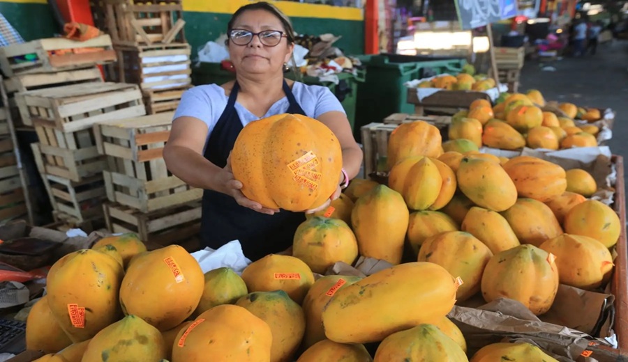 En los mercados mayoristas tuvierón ofertas de frijol, haba, zanahoria, papaya, tuna, manzana y otros