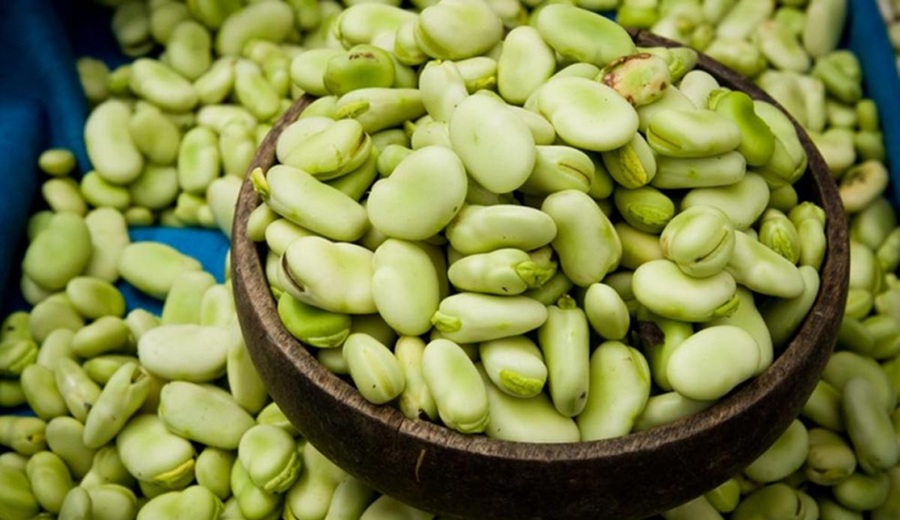 En mercados mayoristas tuvieron ofertas en haba, olluco, tomate, mango, uva, melón y otros