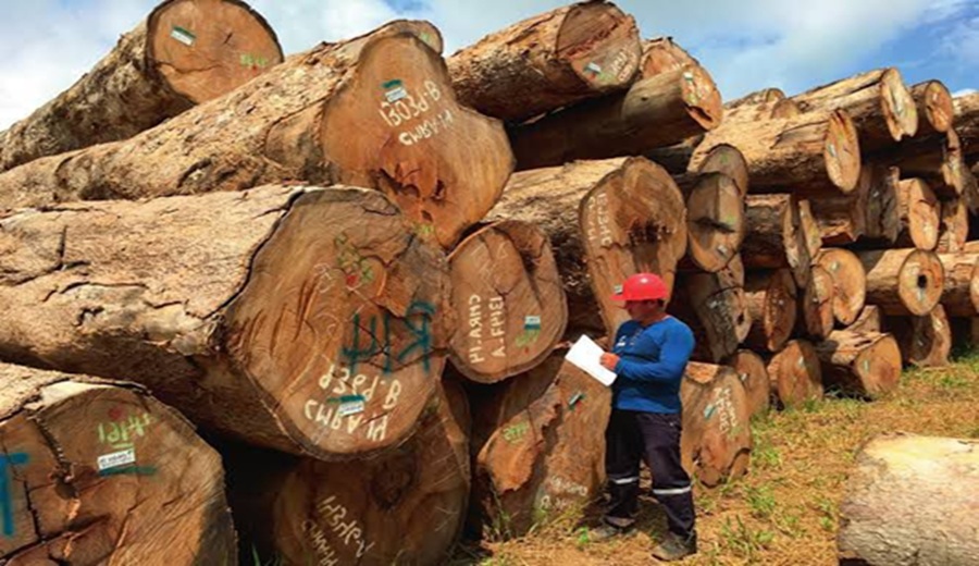 Gobierno otorga cofinanciamiento de hasta USD 300 mil para modernizar pequeñas plantas de transformación de madera