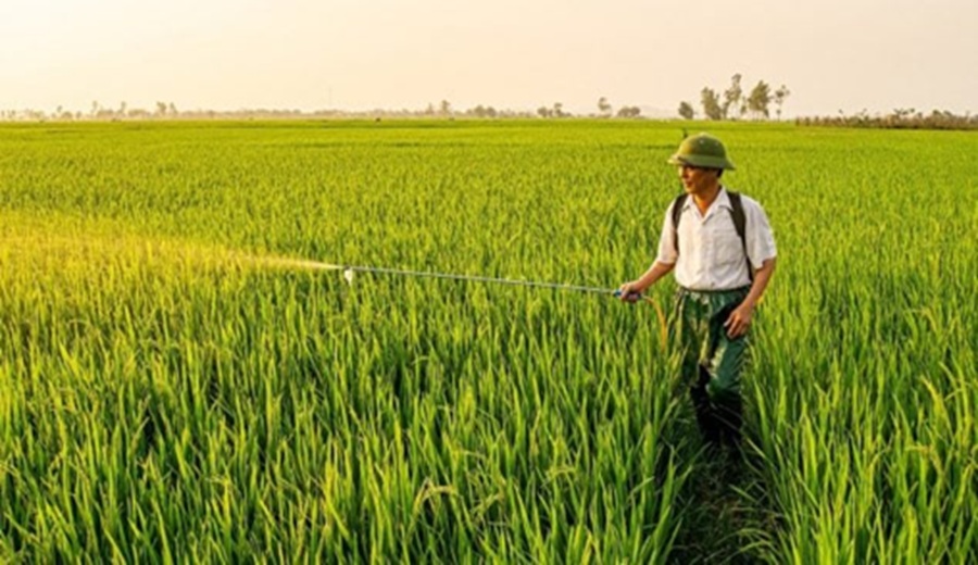 La ciencia mundial alerta el 70% del suelo europeo contiene pesticidas, y su efecto ya se nota en agricultura