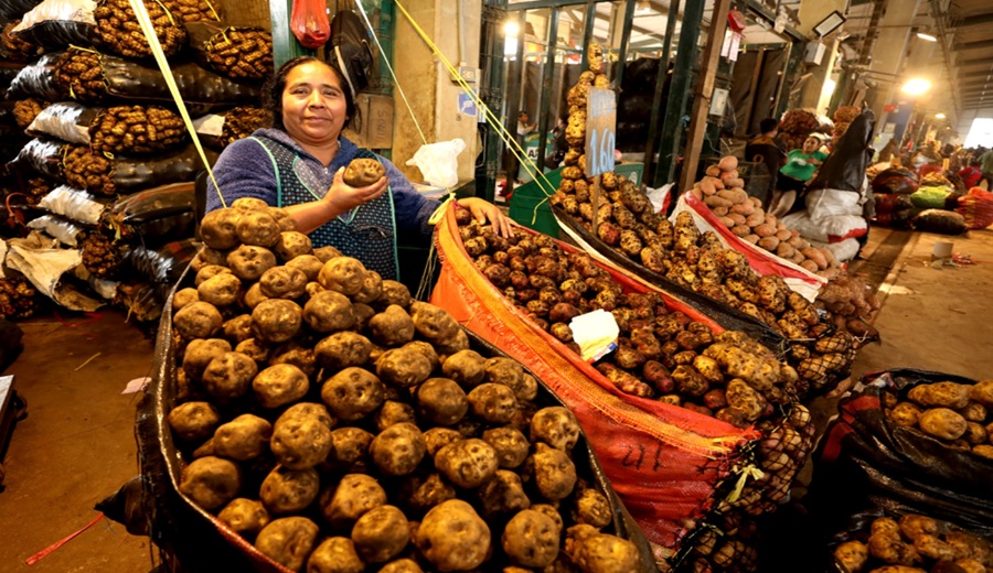 MIDAGRI: Abastecimiento de alimentos en mercados mayoristas de Lima se mantiene con normalidad