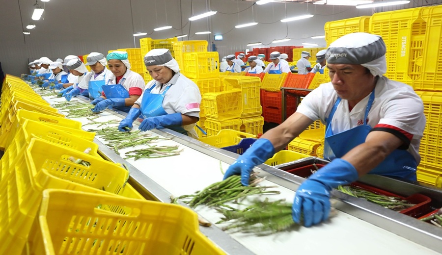 MIDAGRI Perú superó ventas por agroexportaciones en más de USD 15 mil millones al cierre del 2025