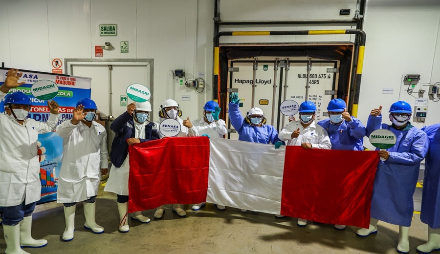 MIDAGRI: Producción avícola peruana se consolida con primer envío de carne de pavo a Panamá