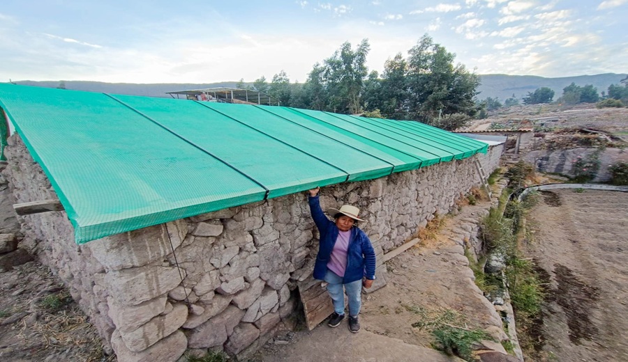 MIDAGRI pone en marcha Plan Multisectorial ante Heladas y Friaje 2026 para la protección de más de 2 millones de cabezas de ganado