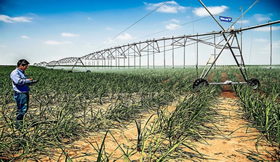 Presentarán proyectos de riego