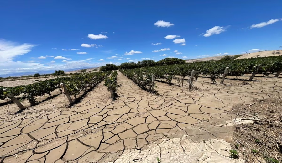 Desborde del río Ica deja 117 afectados y arrasa 240 hectáreas de cultivos en Ocucaje