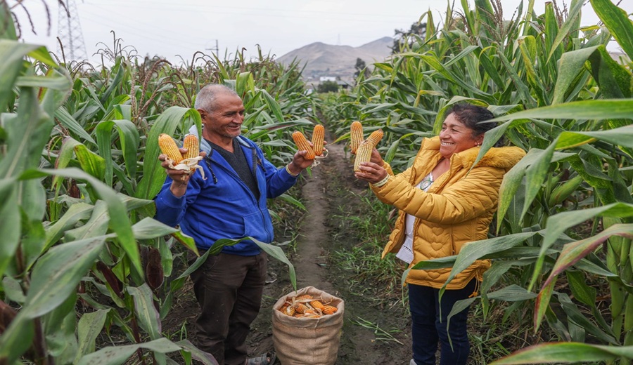 El Gobierno entregó más de USD 141 millones en créditos a pequeños productores agrarios