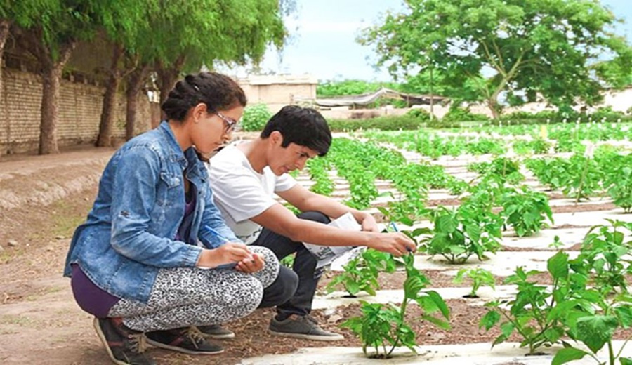 El SECIGRA Agrario 2026 inicia para fortalecer el talento joven y contribuir al desarrollo del sector