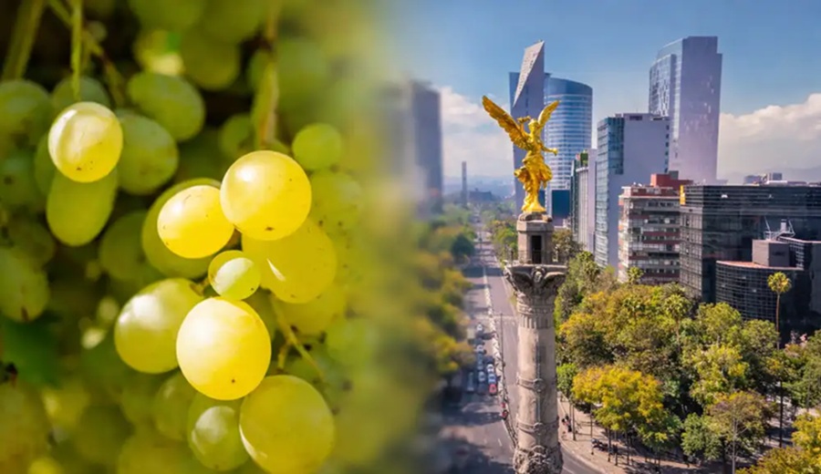 Exportaciones peruanas con valor agregado a México superan los US$100 millones en enero de 2026