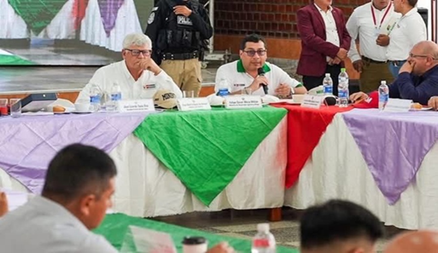 Gobierno impulsa acciones para apoyar la cadena productiva de arroz