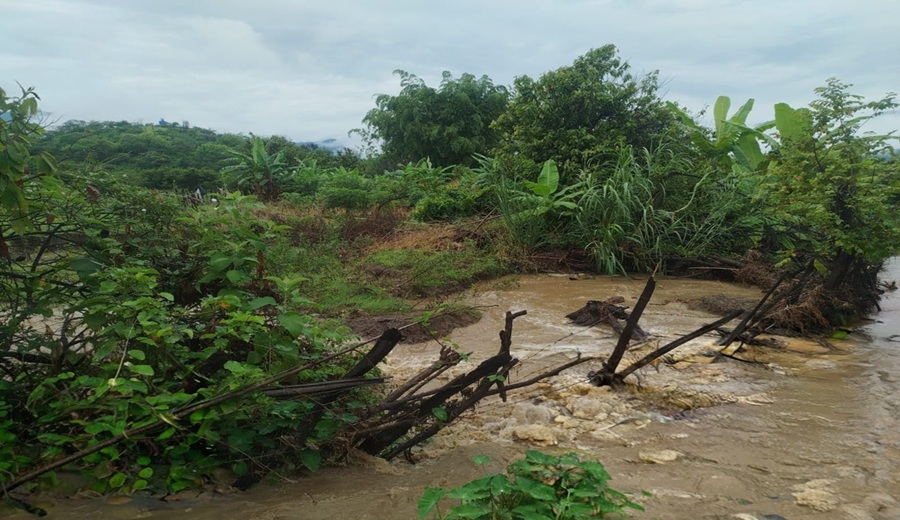 Gore fortalece acciones ante estado de emergencia para proteger el sector agrícola