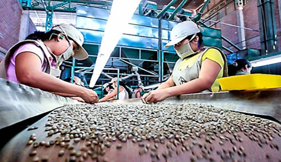 Impulso agroexportador