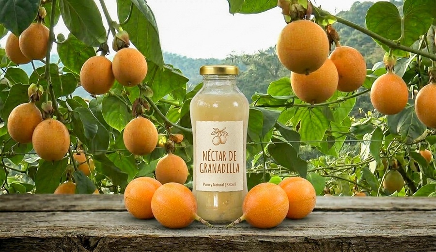 Inacal aprueba norma técnica para la elaboración del zumo y néctar de  Granadilla
