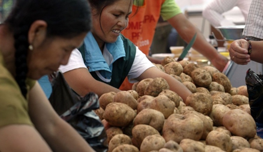 MIDAGRI: Abastecimiento de mercados superó las 13 mil toneladas con diversas ofertas en tubérculos y verduras