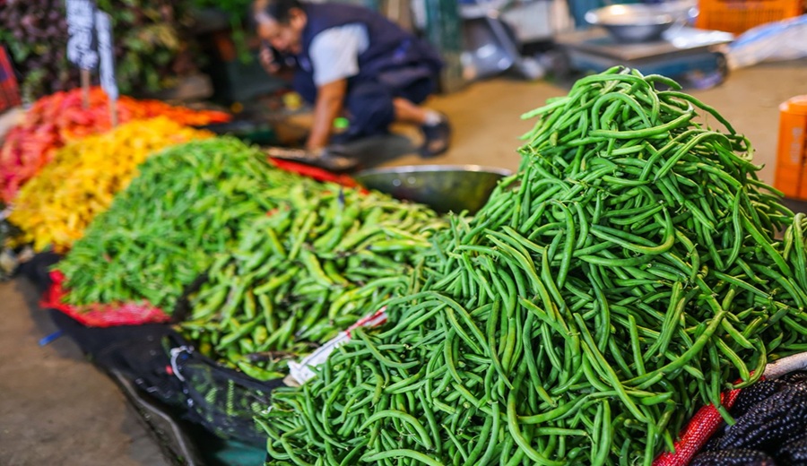 MIDAGRI aumentan las ofertas de frijol, tomate, vainita, melón, naranja y tuna en mercados mayoristas