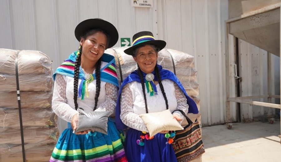 MIDAGRI productoras andahuaylinas envían 50 toneladas de quinua orgánica a Holanda