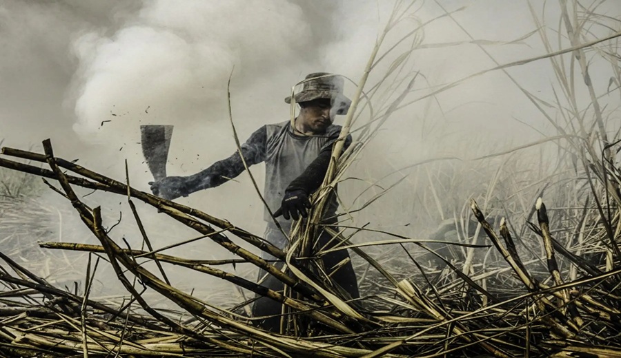 Presentan exposición sobre el trabajo de campo de la industria azucarera de Chicama