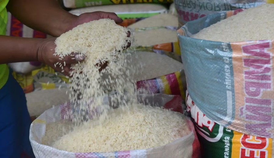 Producción de arroz alistan reglamento para ordenar su siembra y evitar distorsiones en el mercado